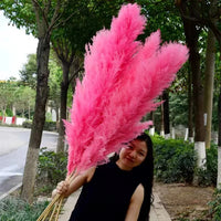 Wholesale Pampas Dried Natural Faux Tall Pampas Grass White