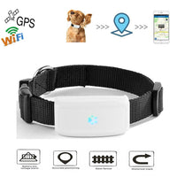 VTX-5822117 GPS collar dog hunting Home Decor Gifting Patio Garden Centerpiece Relaxation Comfort Outdoor Pet Outdoor Gear
