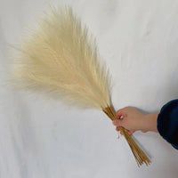 55CM Fluffy Pampas Grass Simulation Reed Hair Simulation Wed