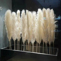 Wholesale Pampas Dried Natural Faux Tall Pampas Grass White