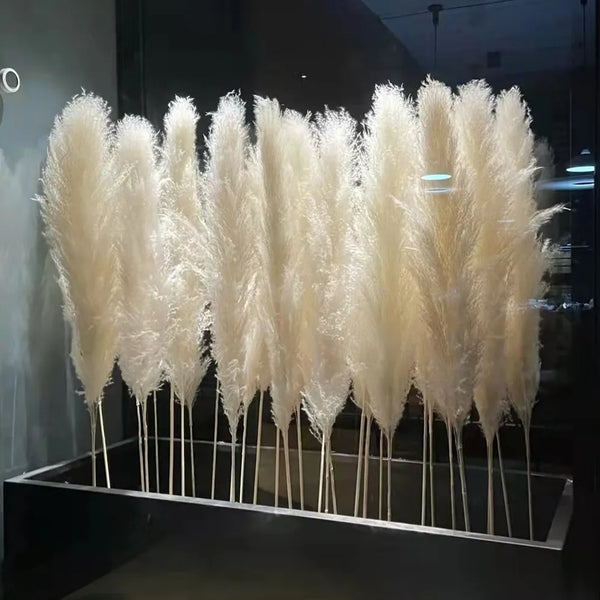 VTX-6858277 Pampas Dried Natural Faux Tall Grass White Wedding Home Decor Gifting Patio Garden Centerpiece Relaxation Comfort