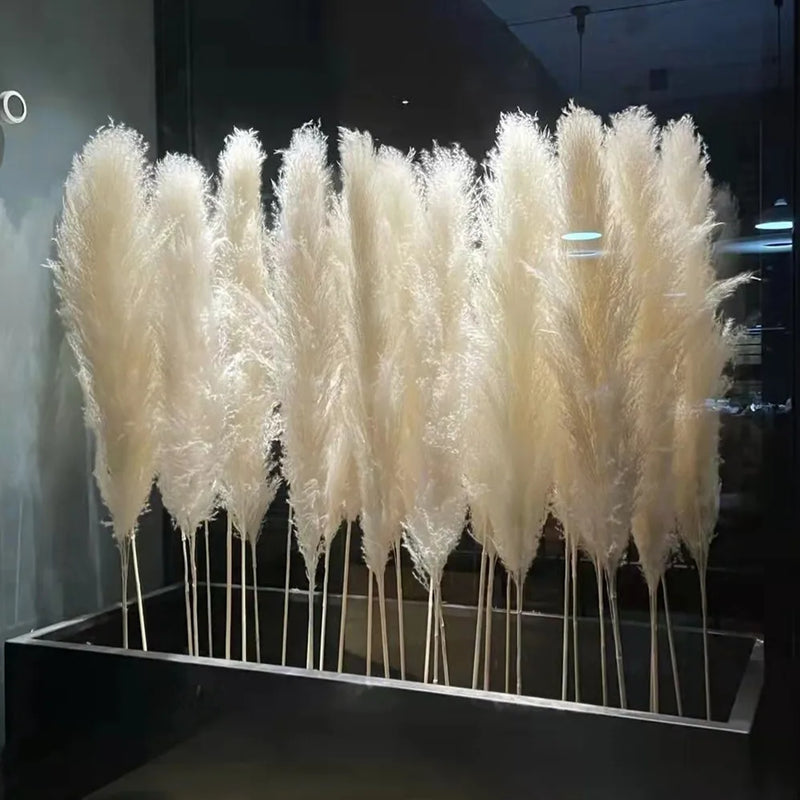 Wholesale Pampas Dried Natural Faux Tall Pampas Grass White