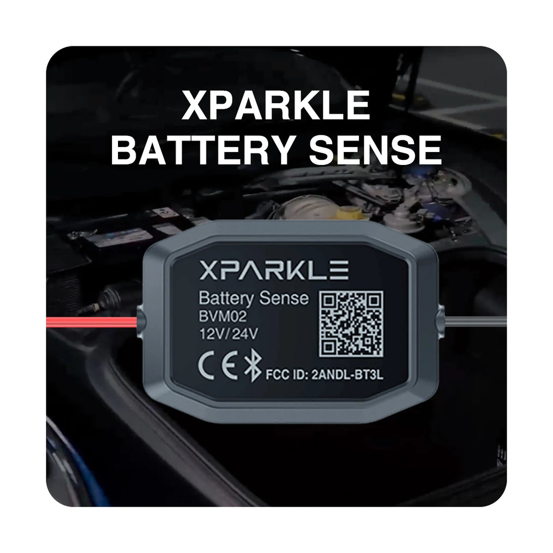 Wireless Vehicle Battery Monitor for 12V and 24V Batteries, Model BVM02, Real-Time Health Tracking