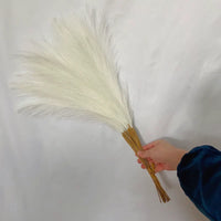 55CM Fluffy Pampas Grass Simulation Reed Hair Simulation Wed