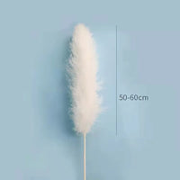 Wholesale Pampas Dried Natural Faux Tall Pampas Grass White