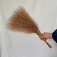 55CM Fluffy Pampas Grass Simulation Reed Hair Simulation Wed