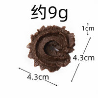 VTX-8175699 KI liangpeng simulated food, cookies, PVC cookie