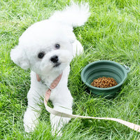 VTX-7842597 Pet Folding Silicone Bowl Outdoor Easy Washable Foldable Dog Collapsible Puppy Carabiners Silicone, Food Grade