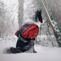 VTX-9991205 Truelove Outdoor Waterproof Safety Escape Proof Pet Backpack Harness Comfortable Multifunctional Dog Saddle Bags