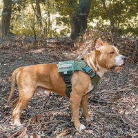 VTX-3169701 Tactical Dog Vest Harness Removable Backpack Heavy Duty No-Pull Military Training Saddlebag Hiking Outdoor Camping