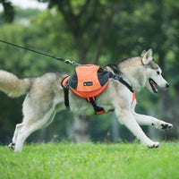 VTX-4387877 Adjustable Outdoor Hiking Pet Dog Backpack Oxford Material Zipper Solid Harness Carrier Travel Fashionable Comfortable