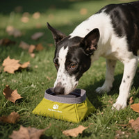 VTX-7777061 JZ Portable Foldable Small Size Eco-Friendly Dog Travel Bowl Waterproof Feeding Pets Cute Indoor/Outdoor Use Kitchen
