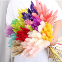 Wholesale Pampas Dried Natural Faux Tall Pampas Grass White