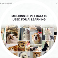 VTX-2402725 Pettichat AI Powered Pet Language Translator Device GPS Tracker CE FCC ROHS Certified IP65 Waterproof 1.2s Dogs Cats