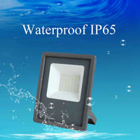 VTX-2266277 Outdoor IP66 Waterproof Aluminum 10W 20W 30W 50W 100W 200W 300W 400 Watts Led Flood Light Lightweight Camping Hiking