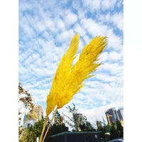 Wholesale Pampas Dried Natural Faux Tall Pampas Grass White