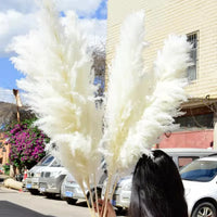 Wholesale Pampas Dried Natural Faux Tall Pampas Grass White