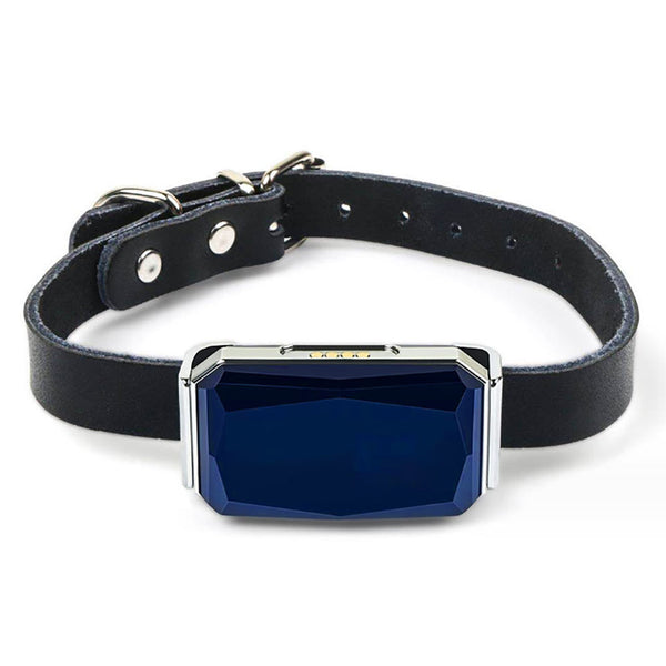 VTX-7271461 YHpet Real Time Tracking GPS Navigator GSM WiFi-enabled Two-way SOS Communication Pet Collar Plastic Home Decor