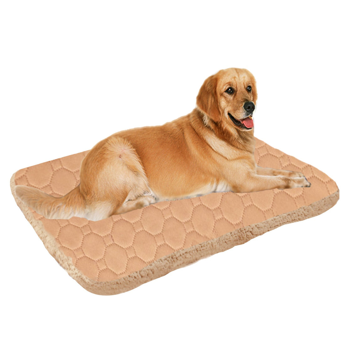 KFX-1716541 Three-Layer Absorbent Pet Mat for Warmth and Comfort in Light Coffee and Gray