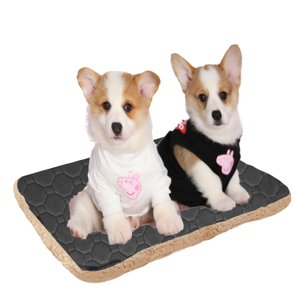 KFX-1716541 Three-Layer Absorbent Pet Mat for Warmth and Comfort in Light Coffee and Gray
