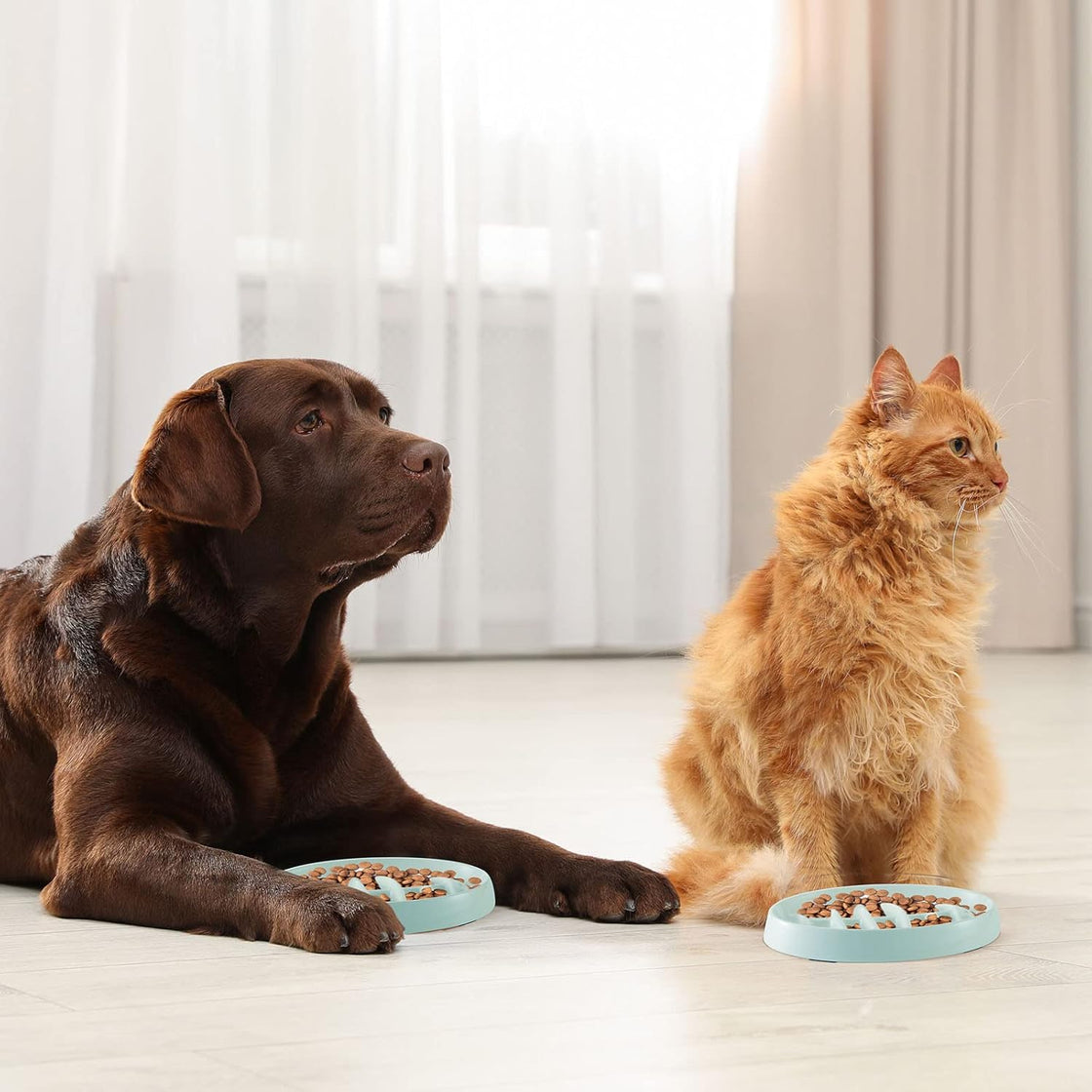 KFX-2703677 Fishbone Slow Feeder Bowl for Cats and Dogs – Anti-Gulping Interactive Pet Dish