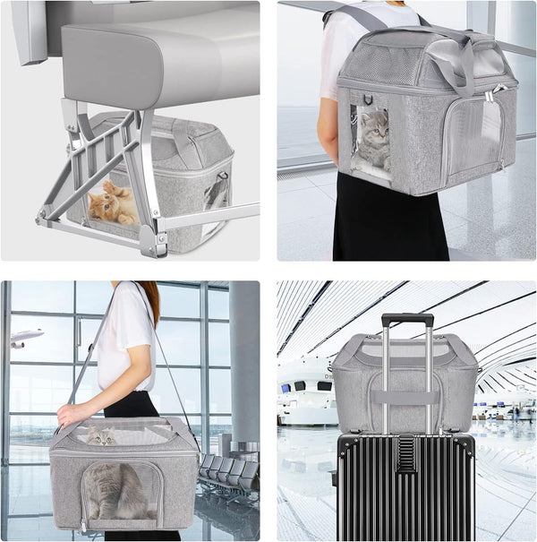 KFX-7281725 Breathable Portable Dog and Cat Backpack Carrier Bag with Stiff Base and Frame