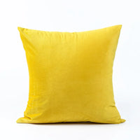 Velvet Plush Sofa Cushion Pillow case Covers